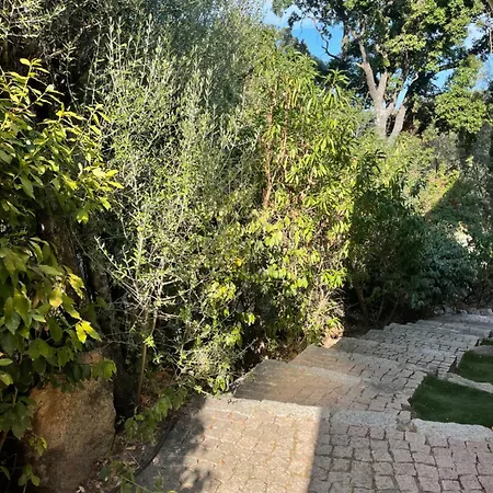Maison Vecchio Proche Belles Plages * Порто-Веккьо